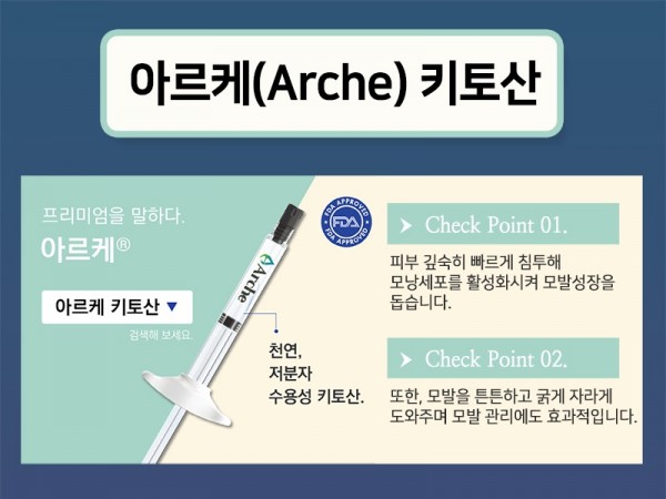 아르케키토산-1-800.jpg