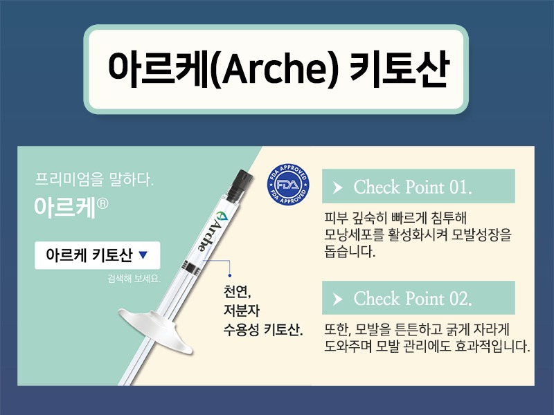 아르케키토산-1-800.jpg
